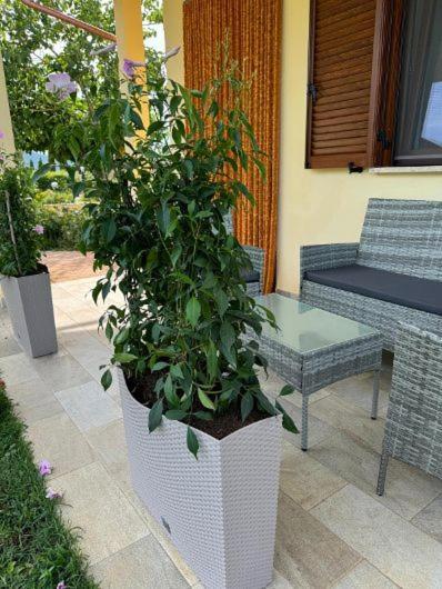 Agriturismo Il Portico Capalbio Kültér fotó